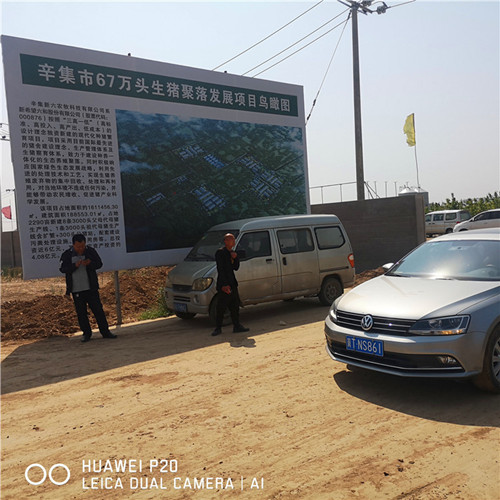 辛集市67万头生猪聚落采购秀色直播APP下载平台官方钢三柱秀色APP下载黄色软件